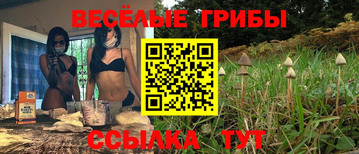 Псилоцибиновые грибы Psilocybine cubensis  Галлюциногенные грибы Psilocybe  Сокол  Вход с VPN 